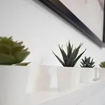 게스트하우스 Lika